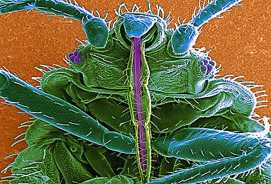 《eFootball 2022》PC配置公开 推荐GTX 1060